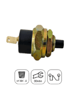Interruptor Luz de Freio FD Cargo 712/814/815/816/1517E/2428E/4030 Todos - Marflex 7499