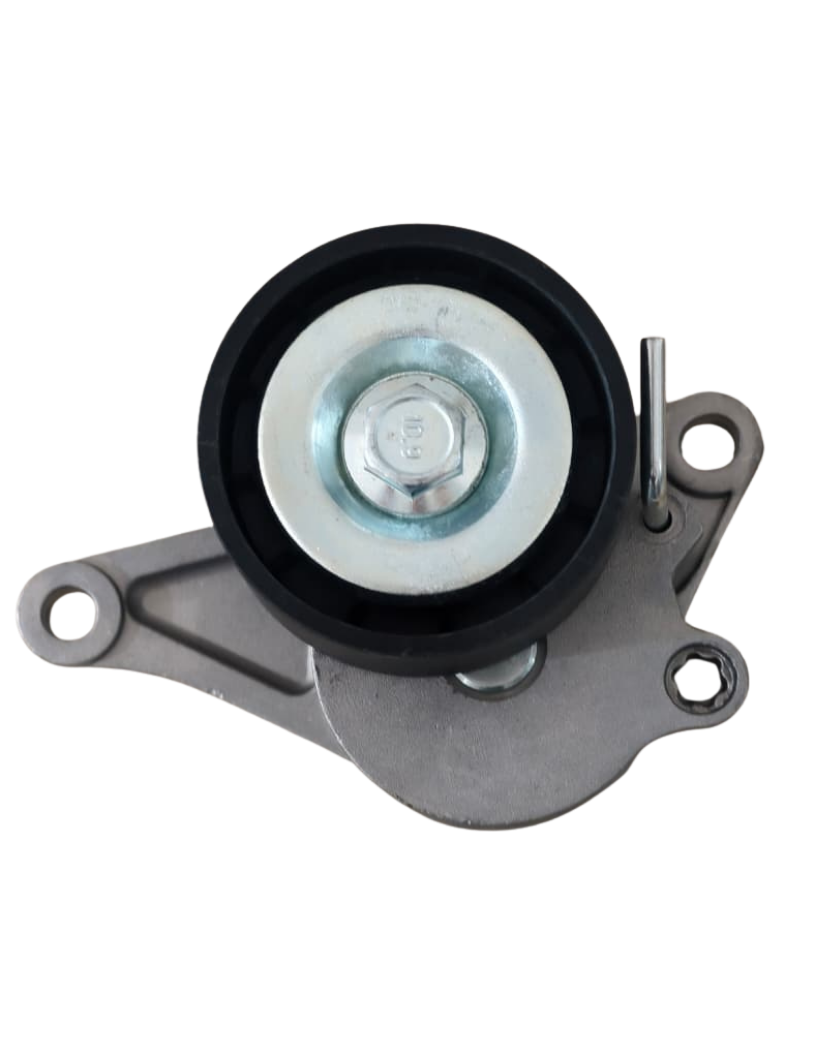 Evel 12 Tensor da Correia do Alternador Renault Master 2.3 16V 13> - Lisa / Rolt 2333